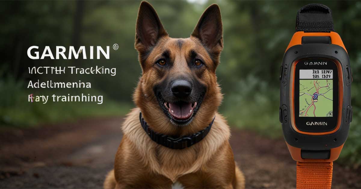  Garmin Alpha TT 25 GPS Dog Tracking and Training Collar